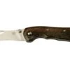 Fox Knives Spora Mushroom Satin Eucalyptus FX-409, Cuchillo Para Setas