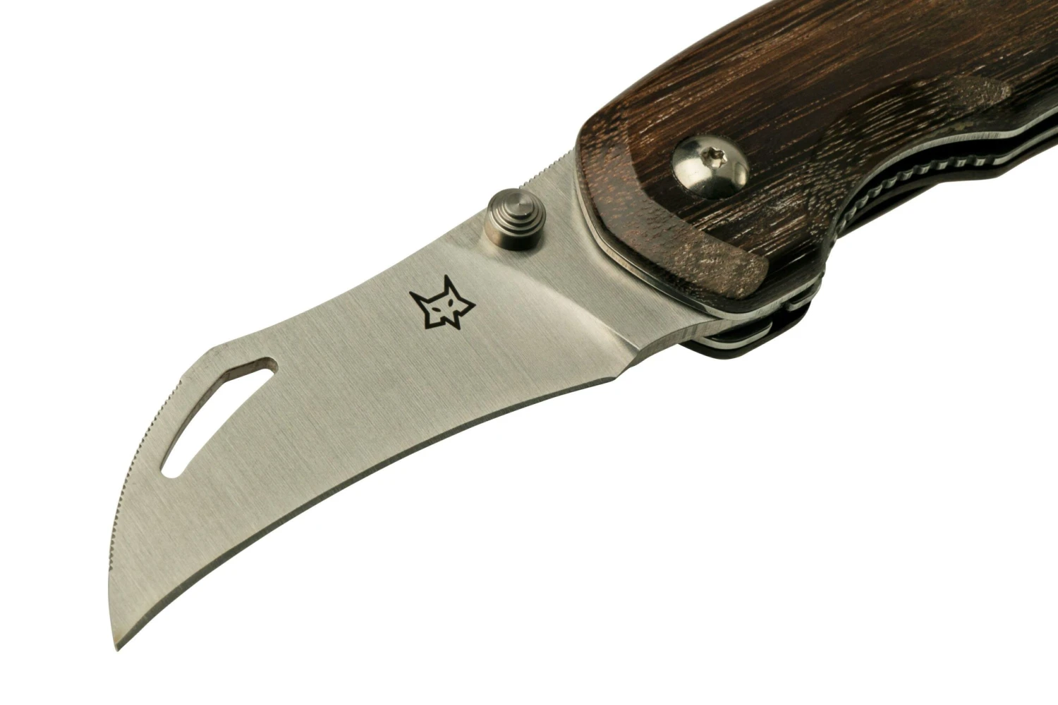 Fox Knives Spora Mushroom Satin Eucalyptus FX-409, Cuchillo Para Setas - Imagen 3