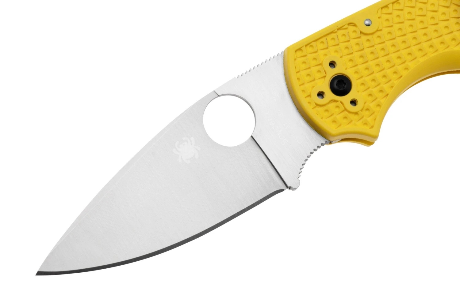 Spyderco Native 5 Salt C41PYL5 Navaja - Imagen 3