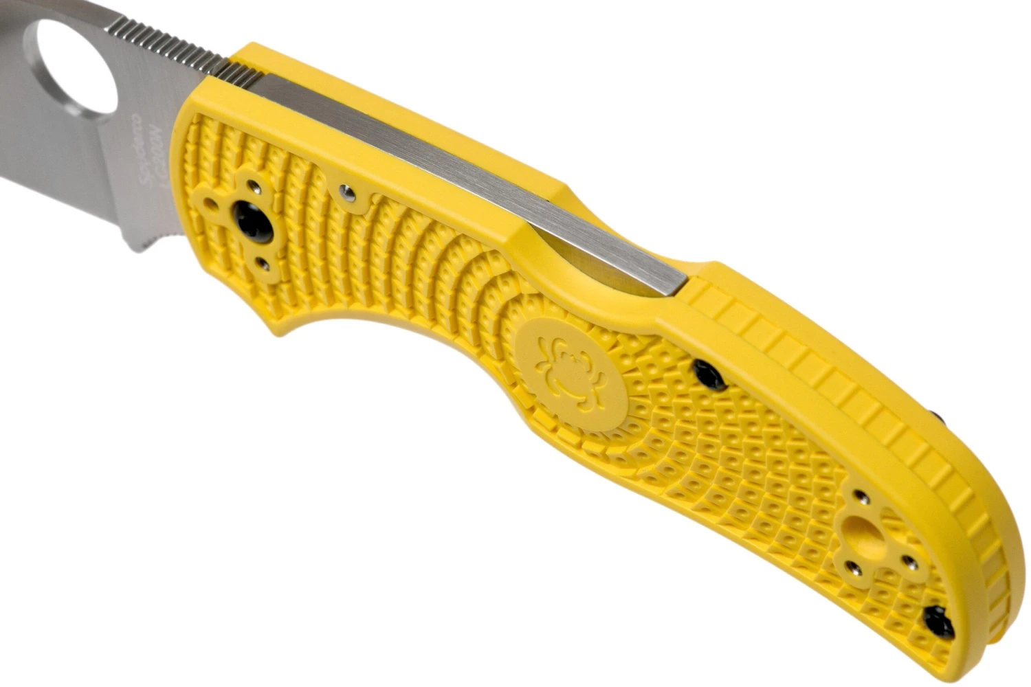 Spyderco Native 5 Salt C41PYL5 Navaja - Imagen 7